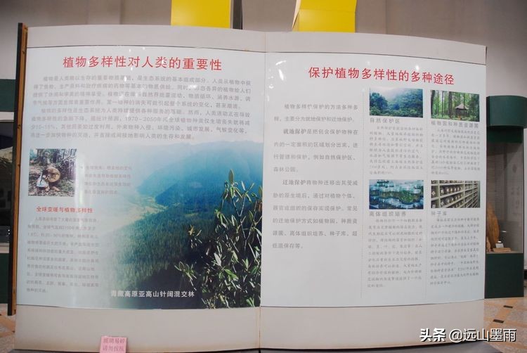 植物科学活动,第二十届公众科学日合肥