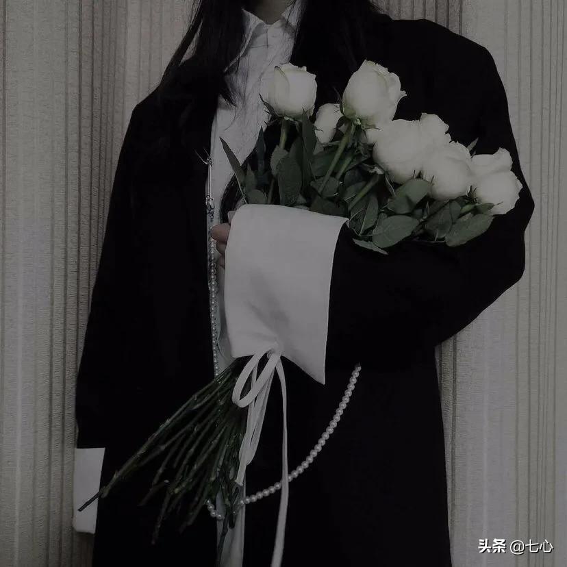 适合你所有情绪的唯美语录,关于努力过的句子说说心情