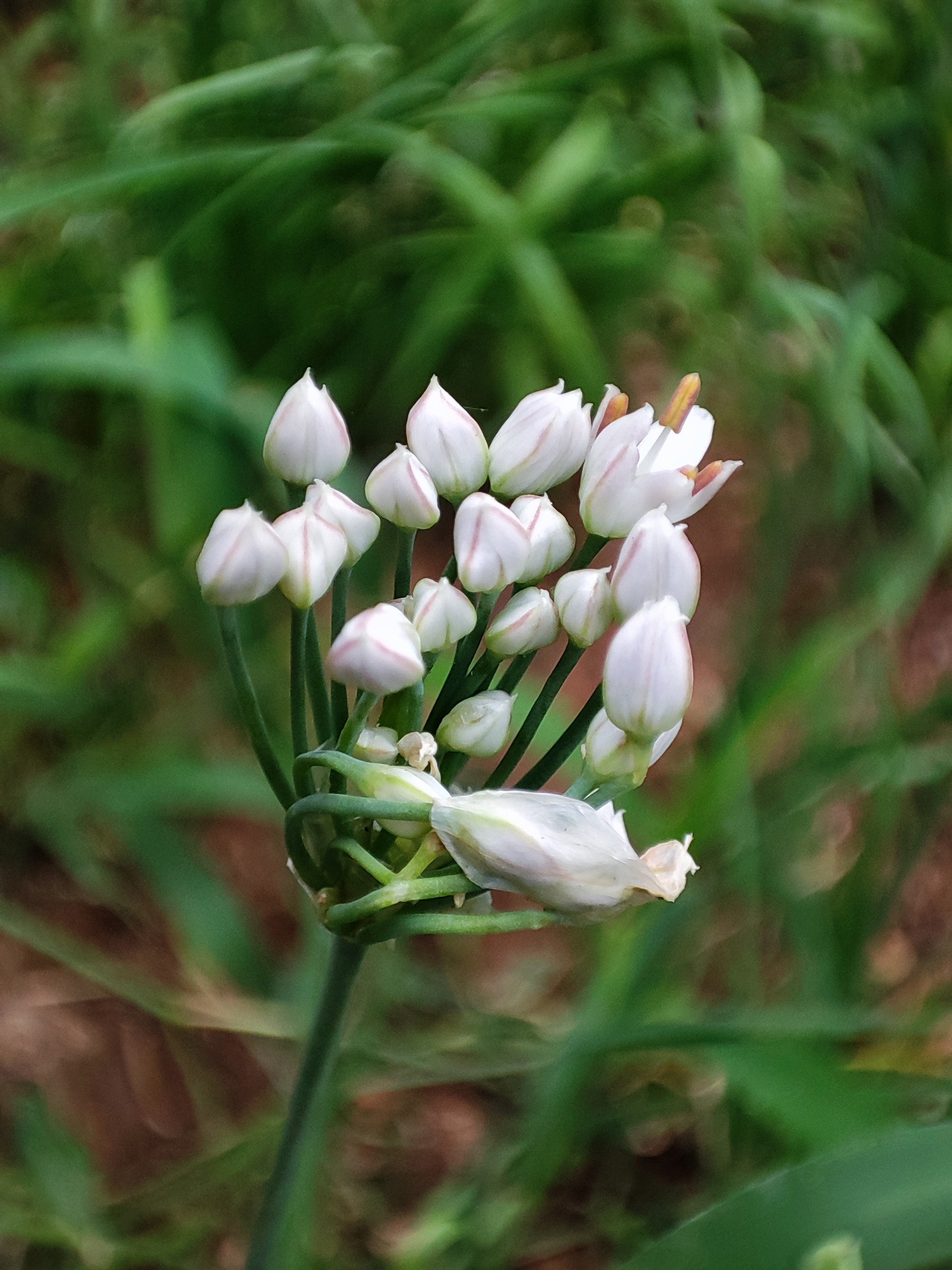 注意一字之差20对中成药别用错,一字之差最好的中成药