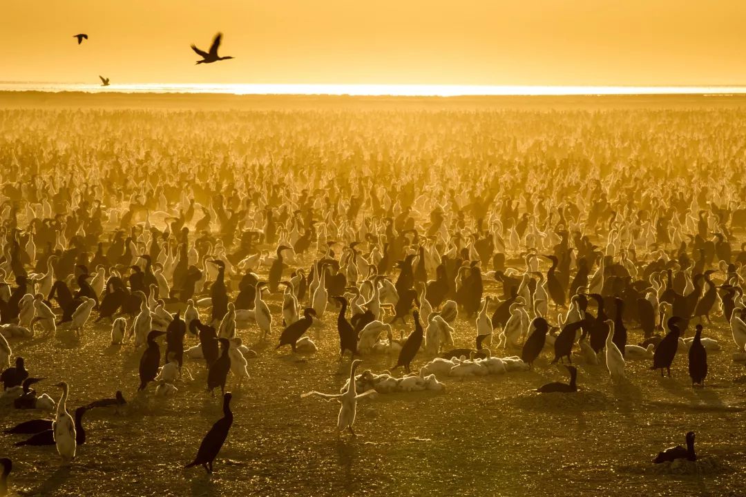 假期儿童纪录片推荐经典,青少年假期推荐纪录片