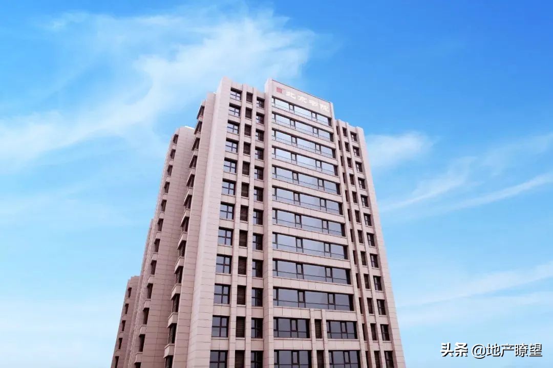 苦等10年终成正果,苦等十年后续