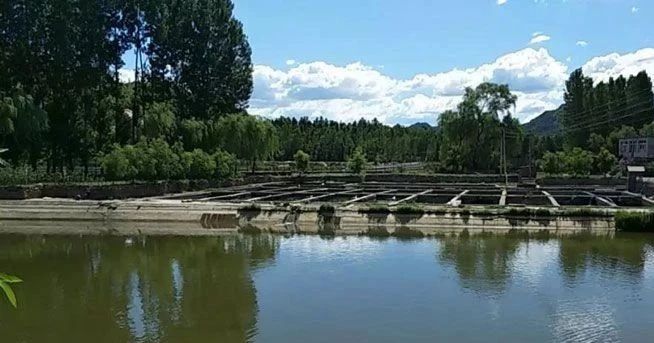 中国农业补贴全世界,中国农业补贴和外国相比