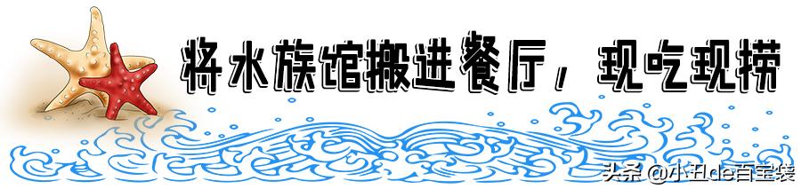 全球美食聚集城南这座“岛屿”，均价不到1块钱！