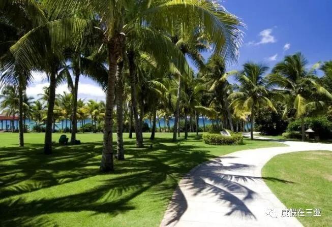 三亚亚龙湾自由行酒店推荐,三亚亚龙湾酒店推荐便宜海景房