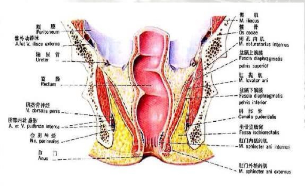 直肠癌术后造瘘口的预见性护理,直肠癌术后吻合口瘘护理措施