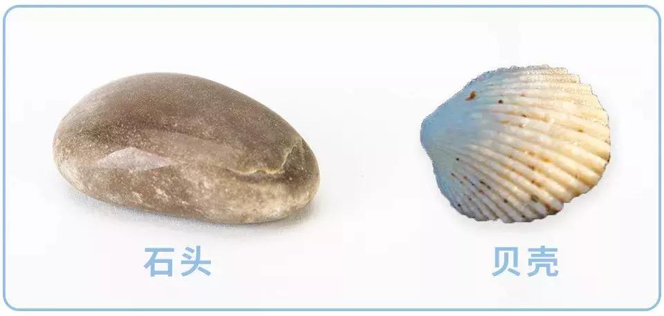 脱毛膏大评测，这个夏天让你不再“毛手毛脚”