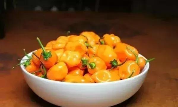 全世界辣椒排行榜前十,世界上十大辣椒排行榜