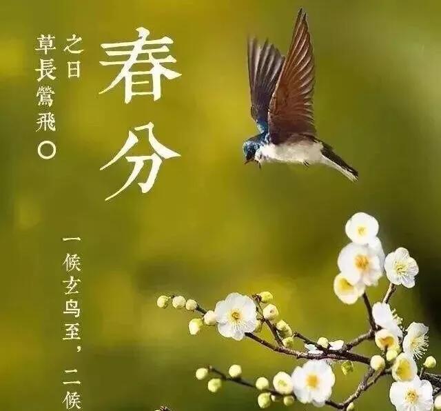 今日春分，春分是啥意思？春分下雨好不好？看俗语怎么说