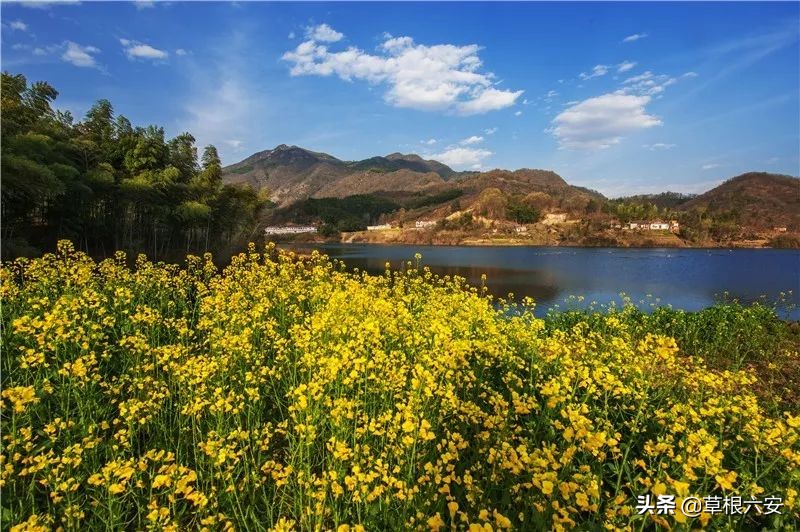 谢谢你来了全集,谢谢你医生