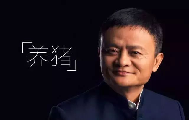 马云说养殖行业,未来养殖行业前景