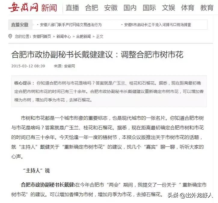 广玉兰是哪个城市的市花,广玉兰是常州市树还是市花