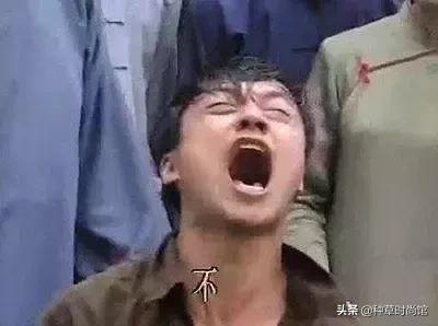 还有哪些网红产品不建议买,这些网红产品你觉得哪个最好