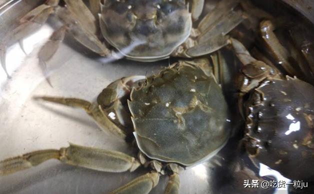 螃蟹怎么保存才新鲜能保存多久,熟螃蟹保存方法保存时间