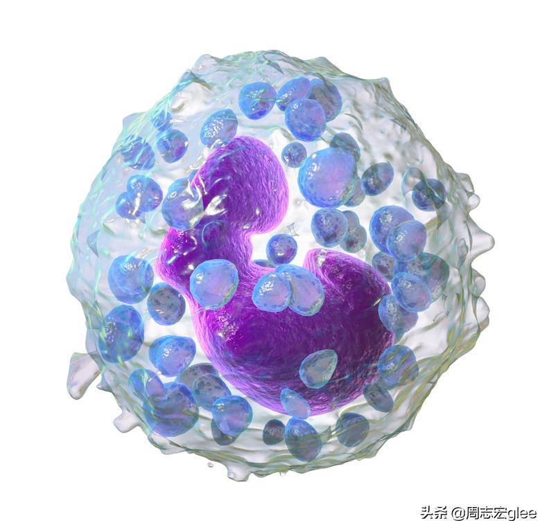 治疗蚊子咬后奇痒的药,跟蚊子咬的疙瘩一样奇痒无比