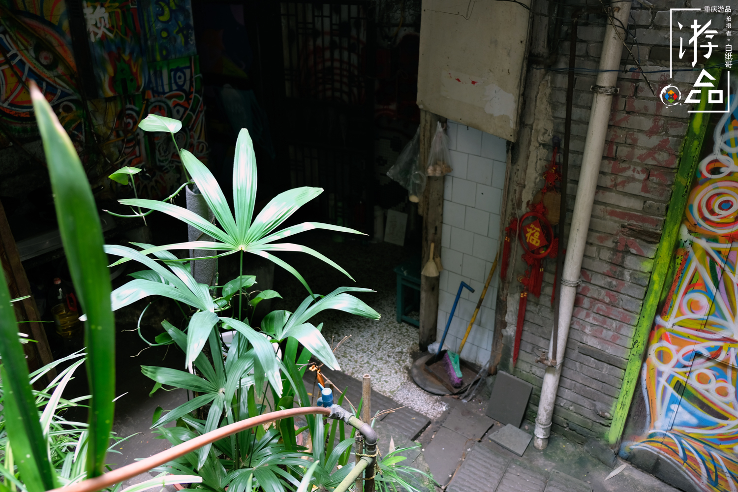 谁都逃不掉命运,谁都逃不掉的命运