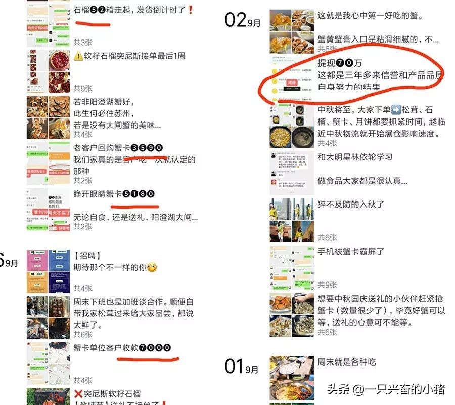 微商朋友圈卖货怎么做 (微商如何迅速的卖货)
