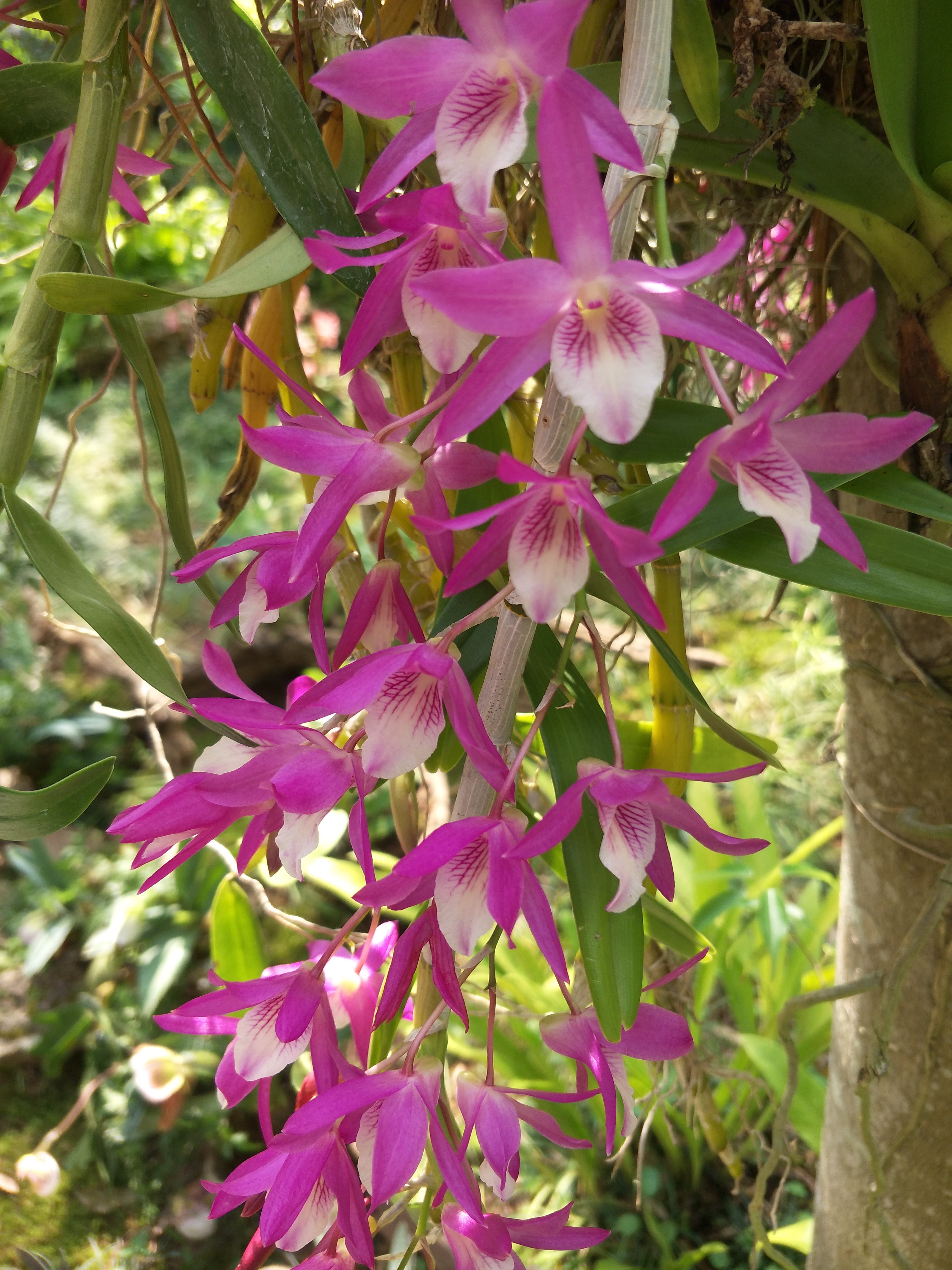 遇见花开深圳,遇见花开鲜花派对