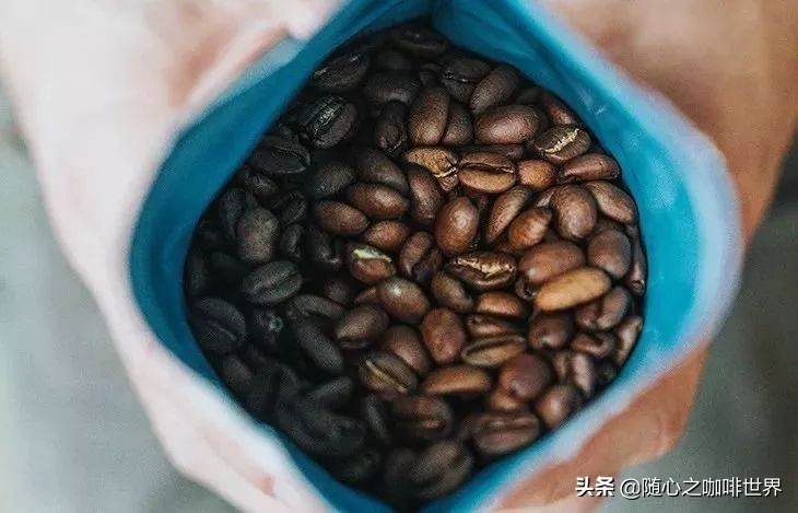 咖啡从采摘到制作过程视频,咖啡采摘加工过程