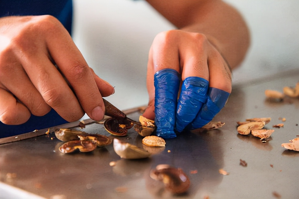 舌尖上的美食坚果,舌尖上的坚果有哪些