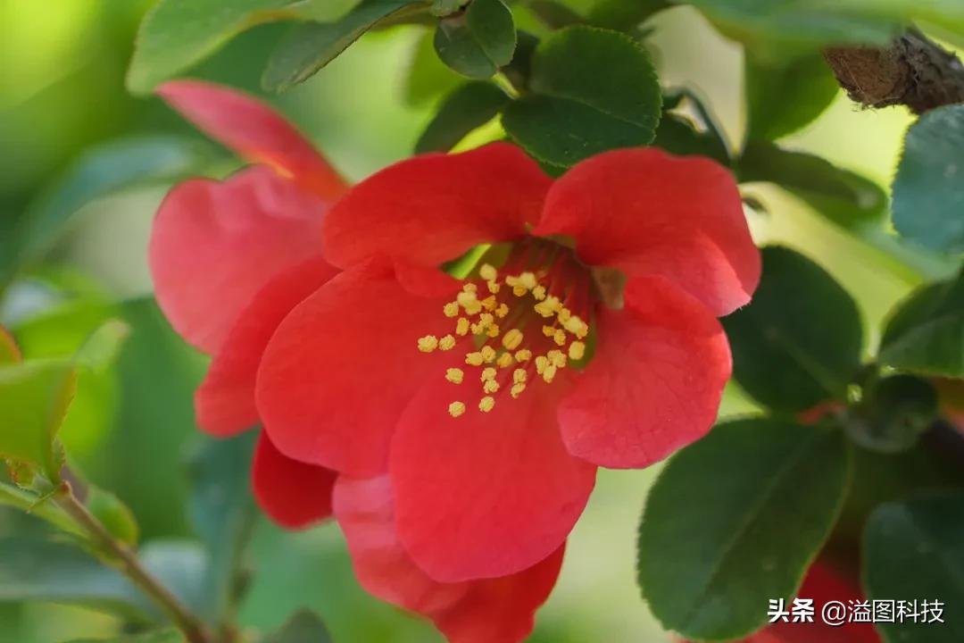 松下全幅无反,松下24-70f2.8镜头评测