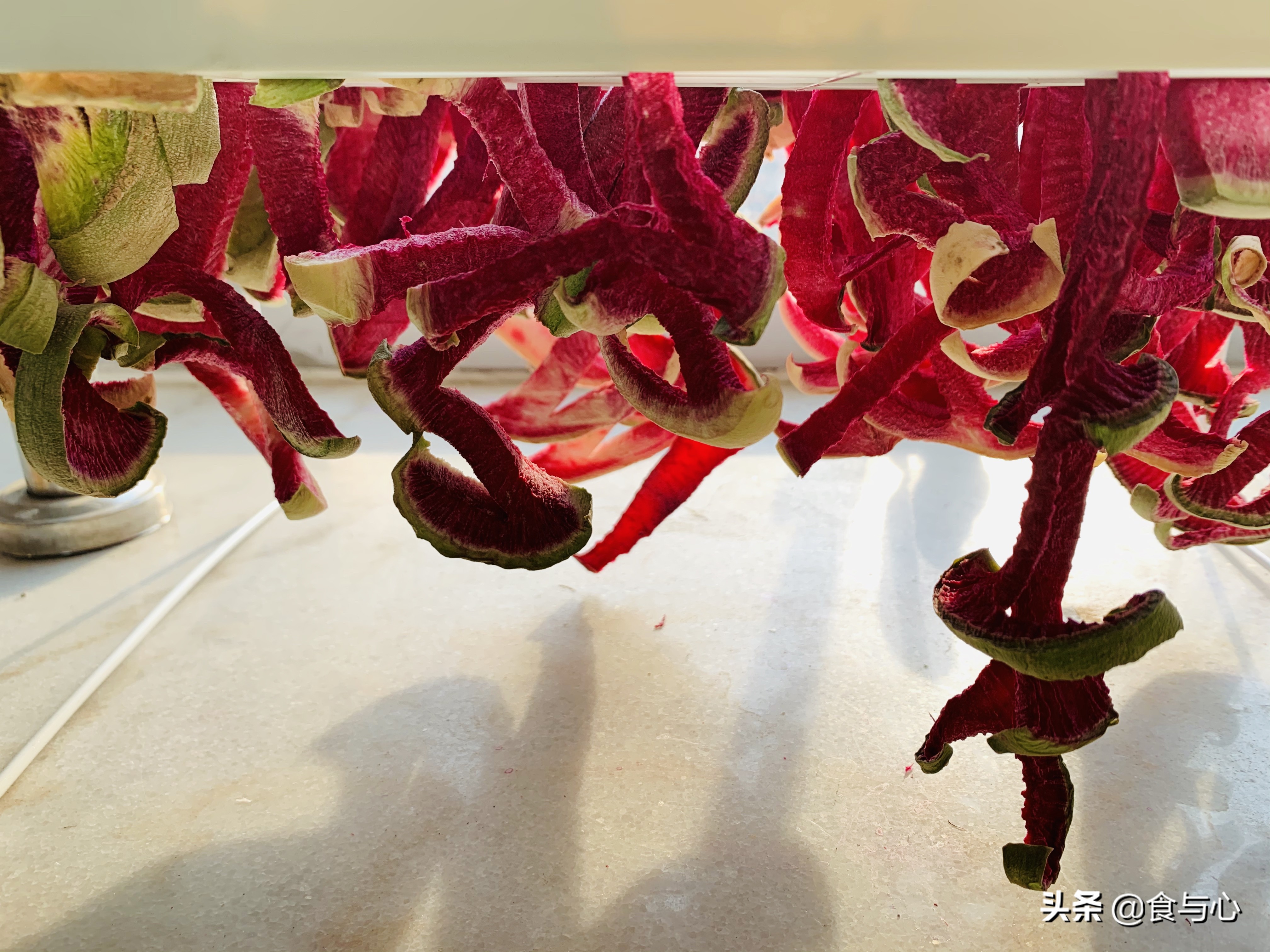 每日健康美食101种,一周健康营养美味食谱