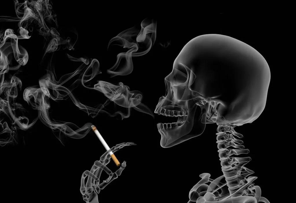 健身才不会颓废,健康健身的常识你必须知道