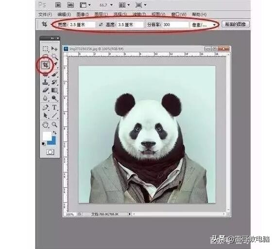 一张图教你制作一寸二寸照片,再也不用去照相馆了