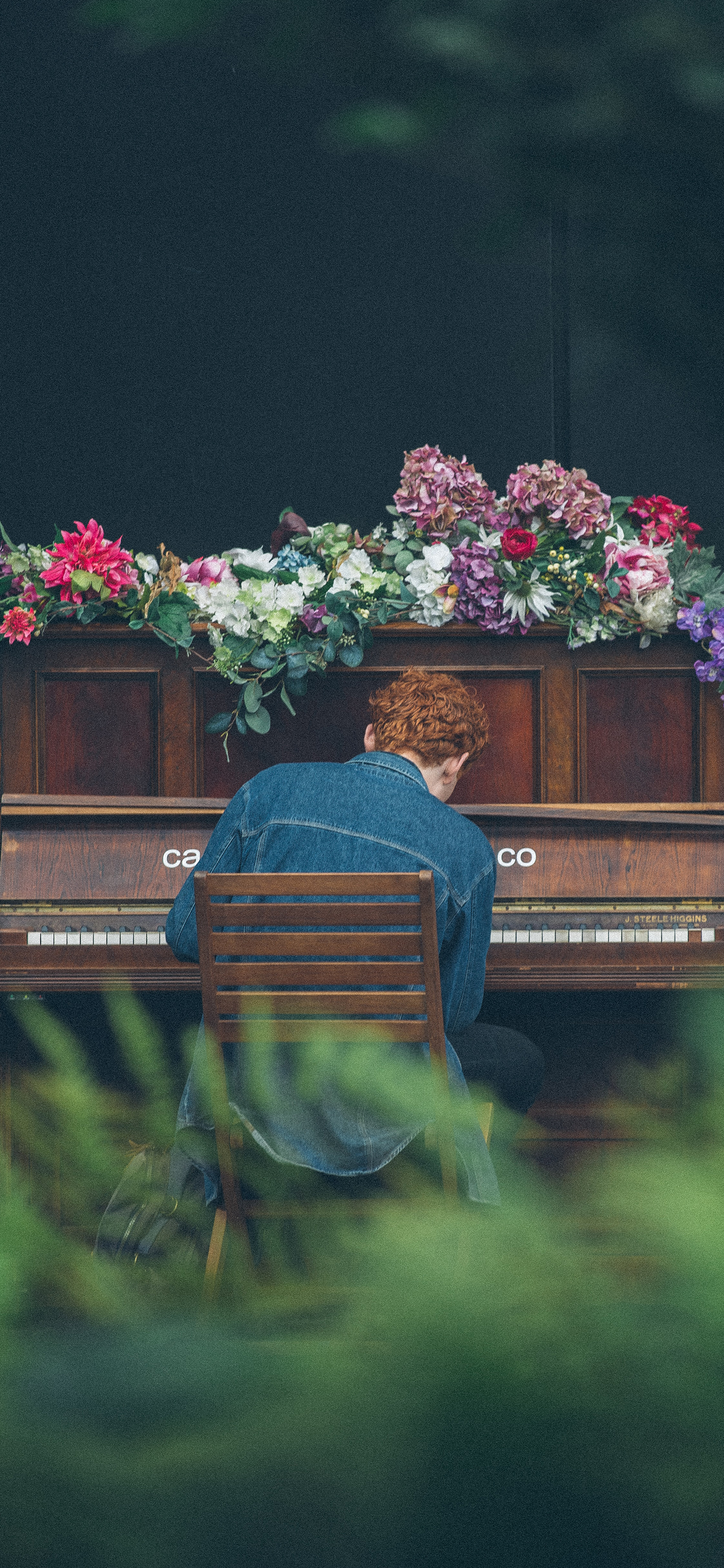 壁纸来了分享图,壁纸来了梵高