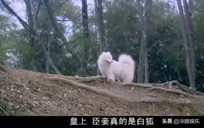 曾经对我造成过精神创伤,受过精神创伤对女人不感兴趣