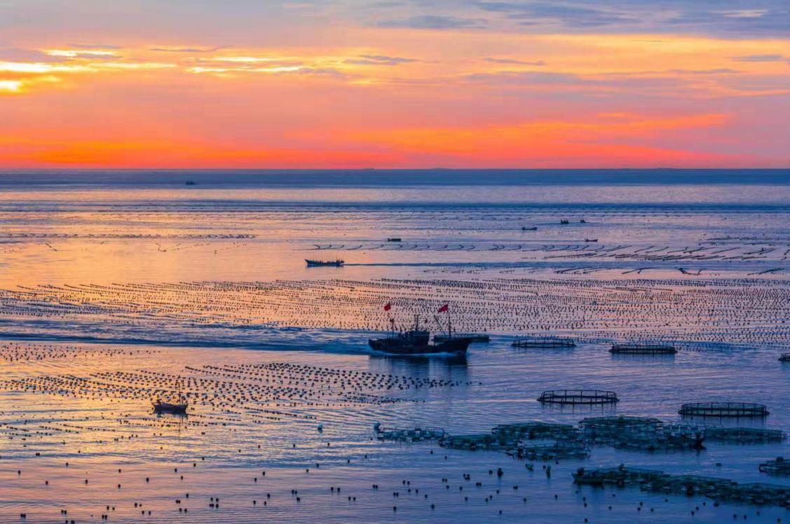 淡水鱼里面黑鱼是不是最厉害的,淡水鱼最强的是黑鱼吗