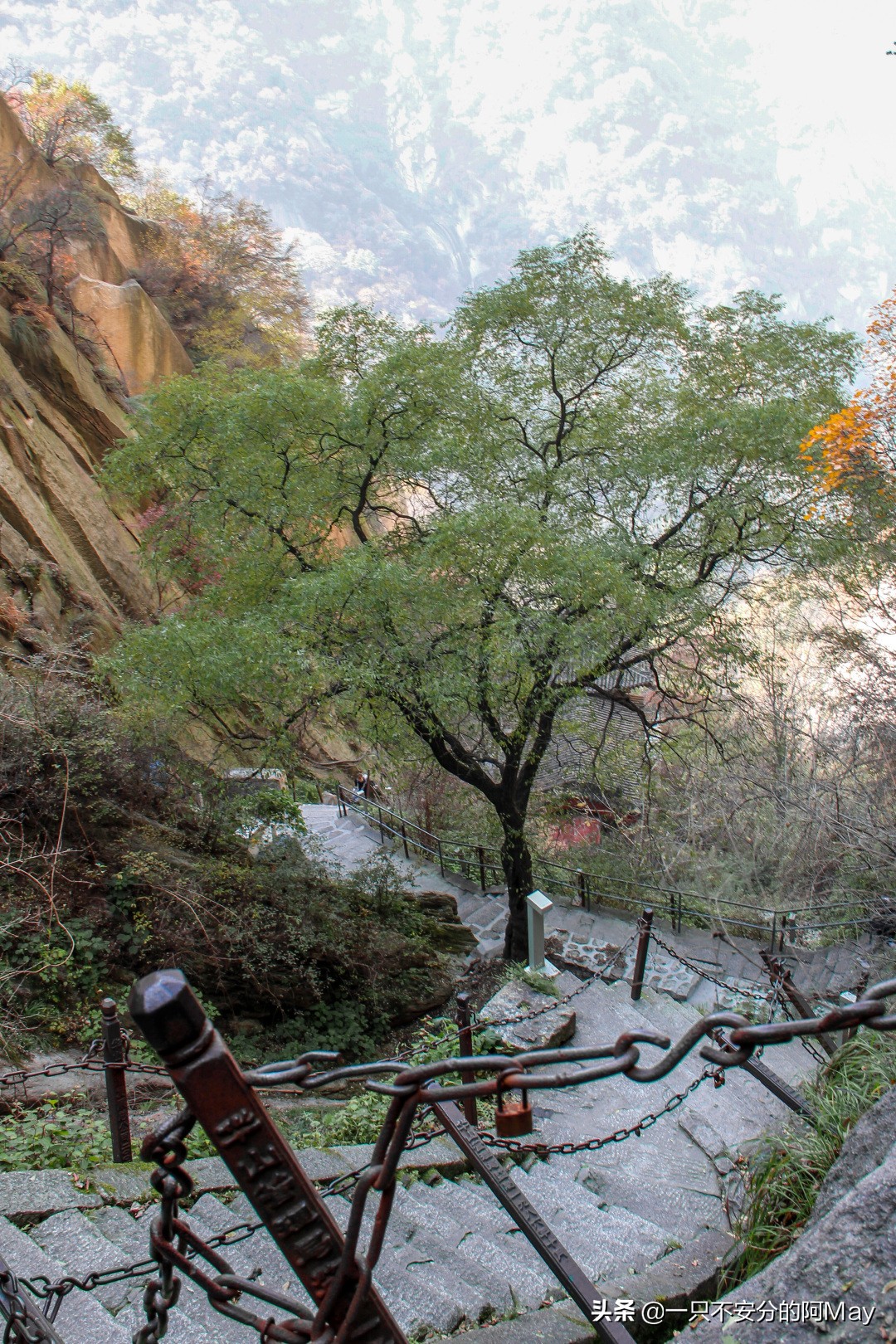 为什么爬华山都是夜爬,华山自古一条道很有必要爬吗