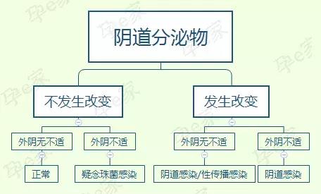 孕期底下总潮湿有味用什么药,孕期内裤总是潮乎乎的