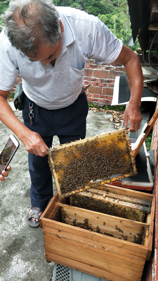 真正的原生态蜂蜜,密集恐惧症能吃蜂蜜吗