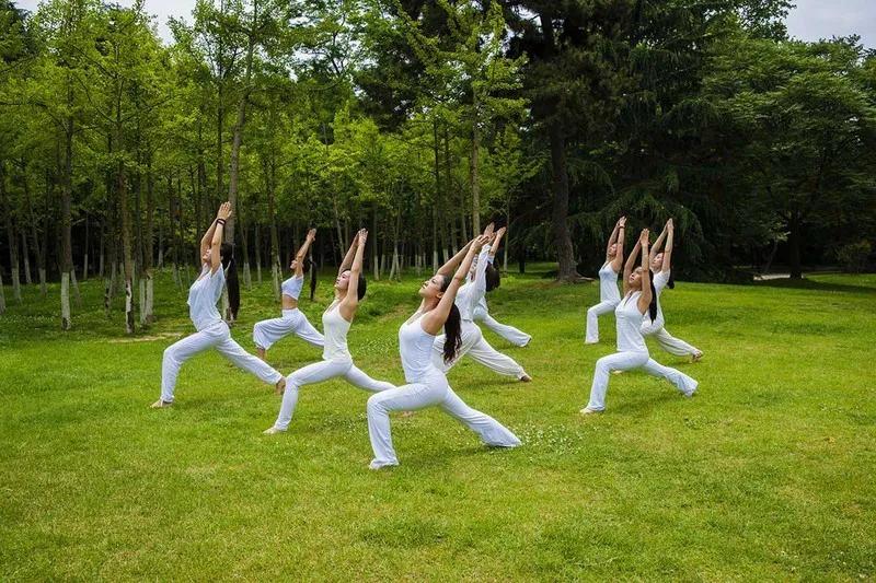 瑜伽小白应该怎么做,零基础小白如何当瑜伽老师