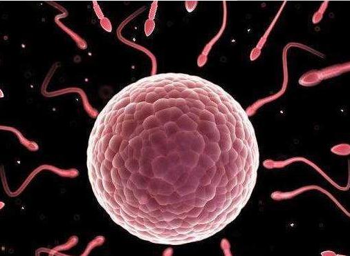 孕妇孕早期见红是怎么回事,孕早期见红有什么特征