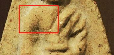 「鉴变」2494普陀耐最受欢迎的大模第二无耳线模