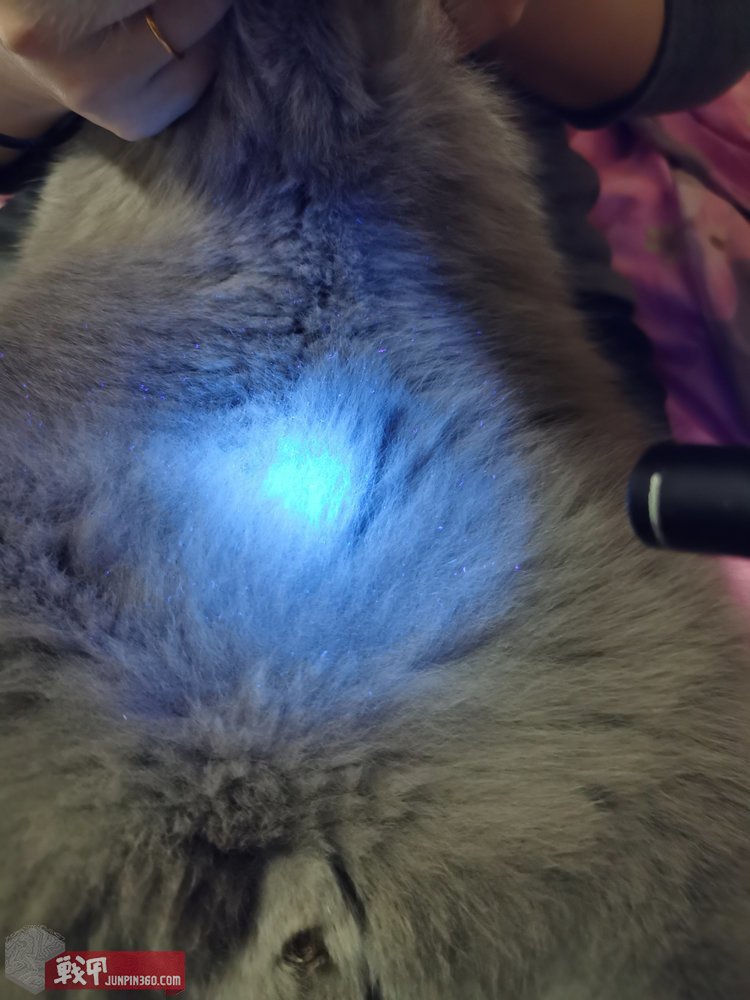 绾充附寰峰拰k3,绾充附寰穔3uv娴嬭瘎