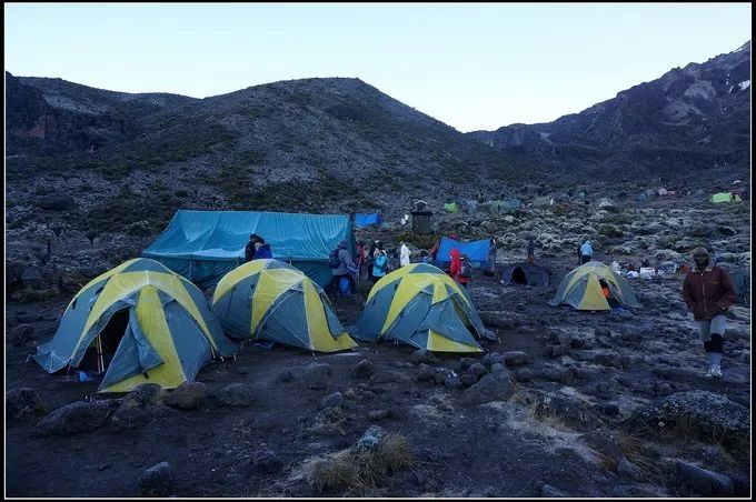 坦桑尼亚之旅,坦桑尼亚东非草原