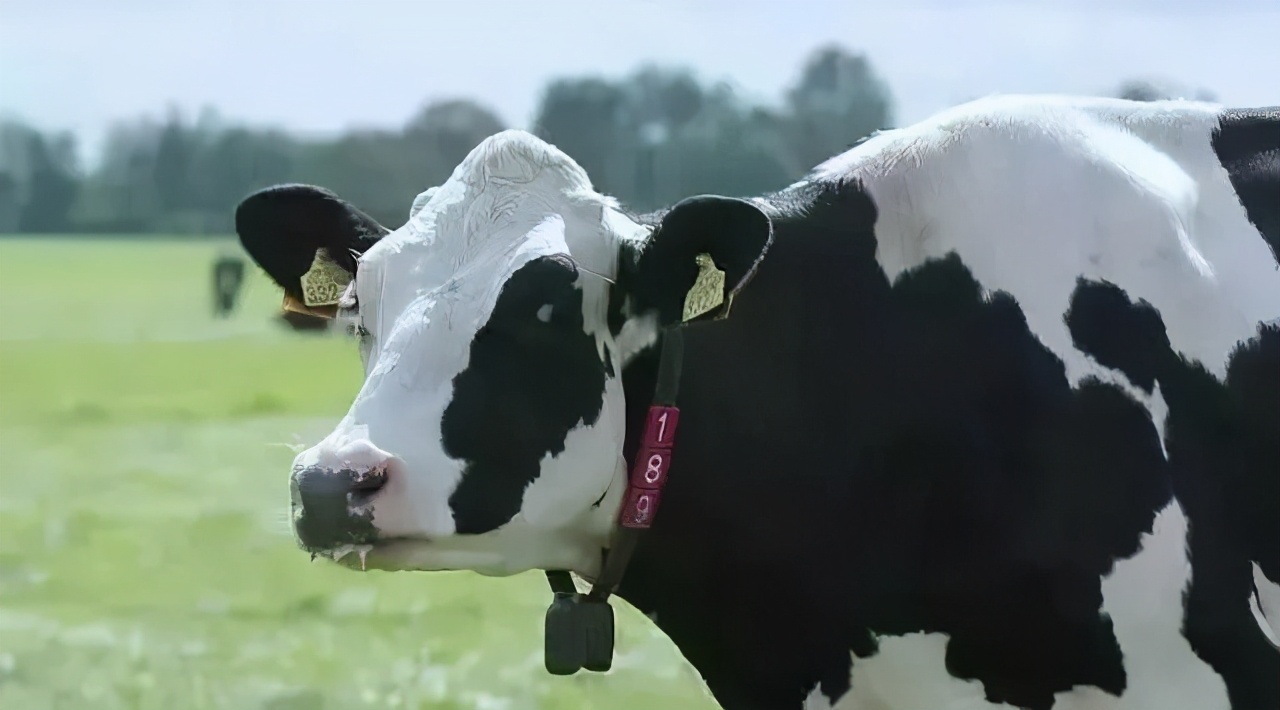 澳优婴幼儿奶粉推荐,澳优淳奶粉的优点