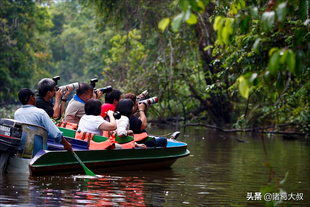 去一趟马来西亚要花多少费用,去一趟马来西亚一天游