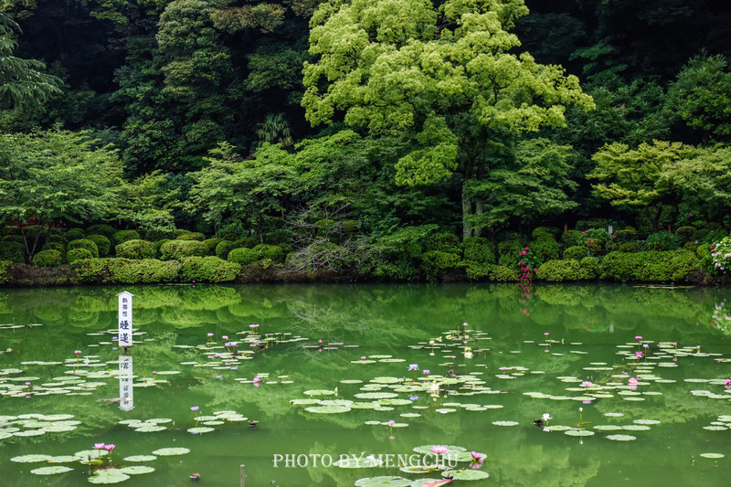 日本的哪个地方温泉最出名,日本最野的温泉