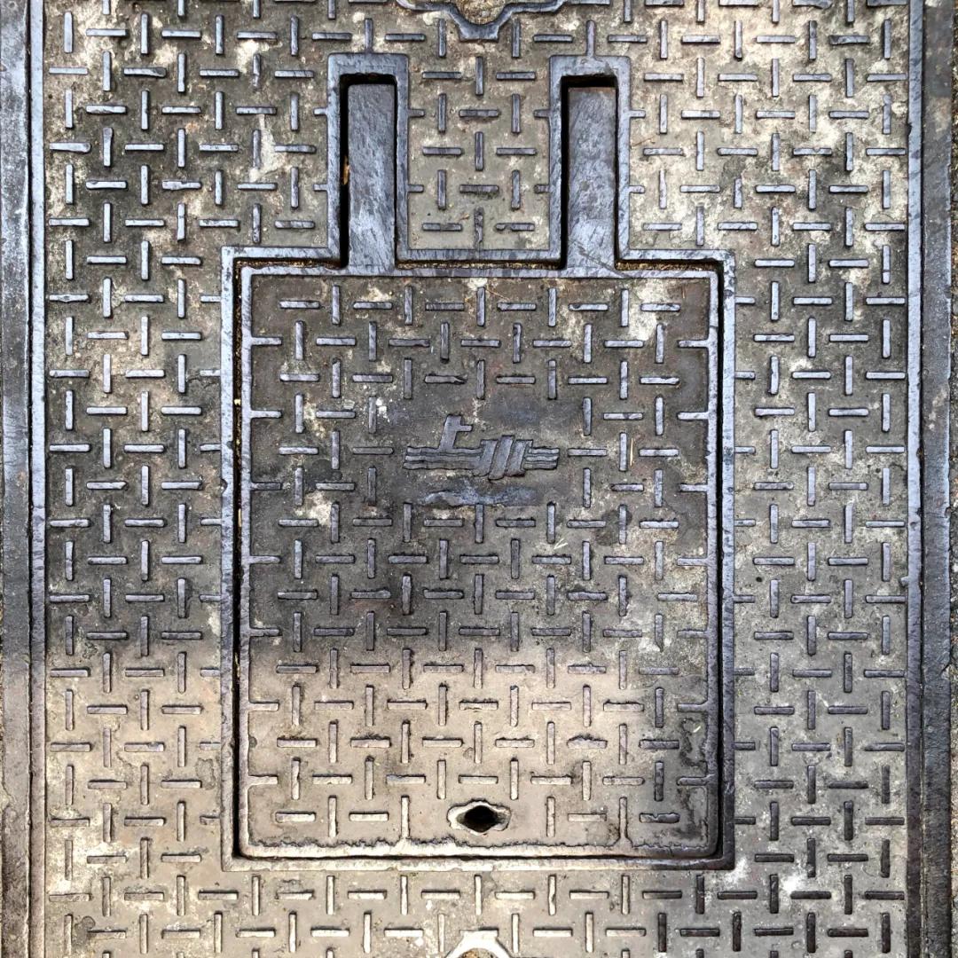 不要错过上海的春天,不要错过上海的夏天