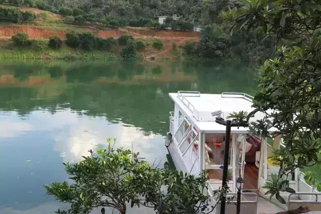 40岁大叔钓鱼,40岁大叔买下一座岛