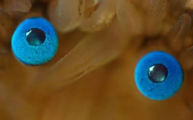 人类是真的经过设计的吗,大胆的推测