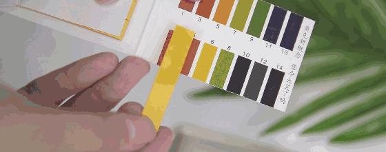 沐浴后持久留香的方法,浴液持久留香保湿清香