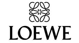 刘雯今年最流行的包,刘雯同款包时尚潮流大牌大容量