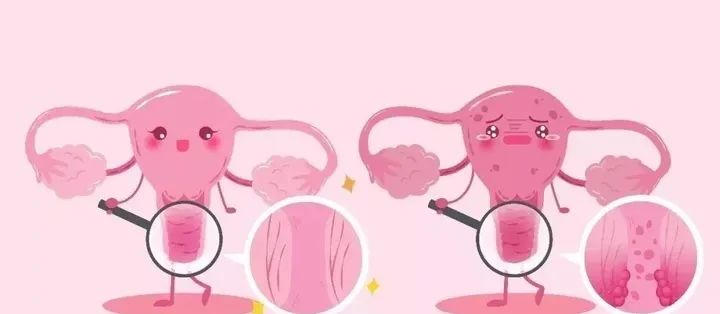 独特益生菌成分，帮你重返18岁少女娇嫩