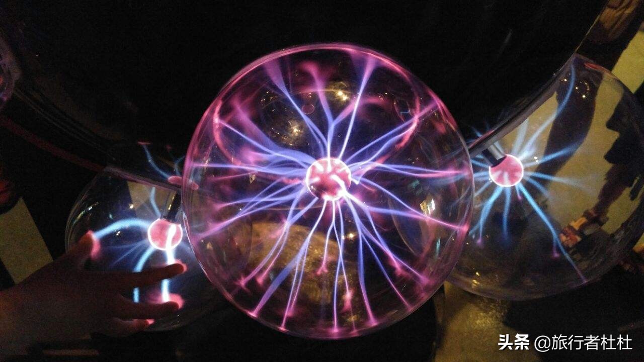 上海动物园5a景区,上海野生动物园和上海科技馆距离