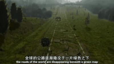 海豚“杰克”在暗礁海域为船只引航41年，爱让我们更懂得善待生命