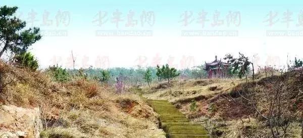 青岛城市记忆公园,青岛十景图片